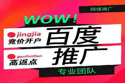 百度竞价代运营公司：如何选择合适的投放平台